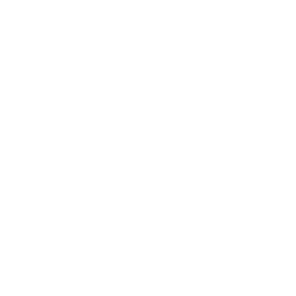 Passkey Icon